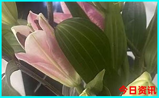现在这个季节适合去什么地方旅游
